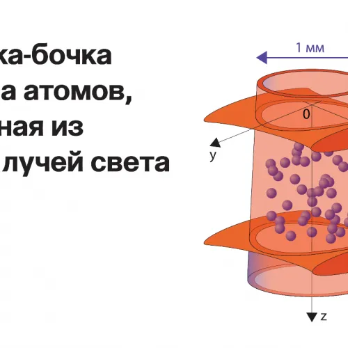Катя Золотарёва для ПостНауки