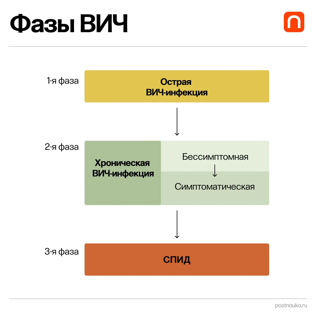 Катя Золотарёва для ПостНауки