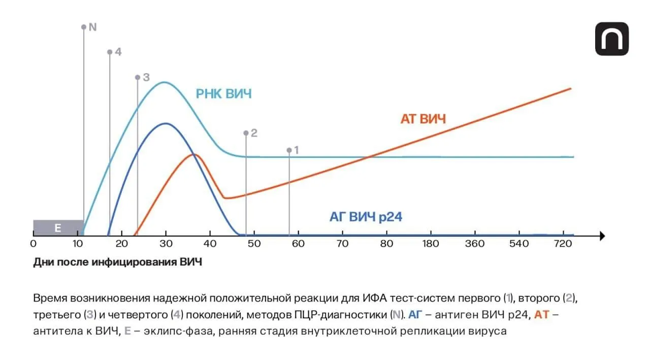 Катя Золотарёва для ПостНауки