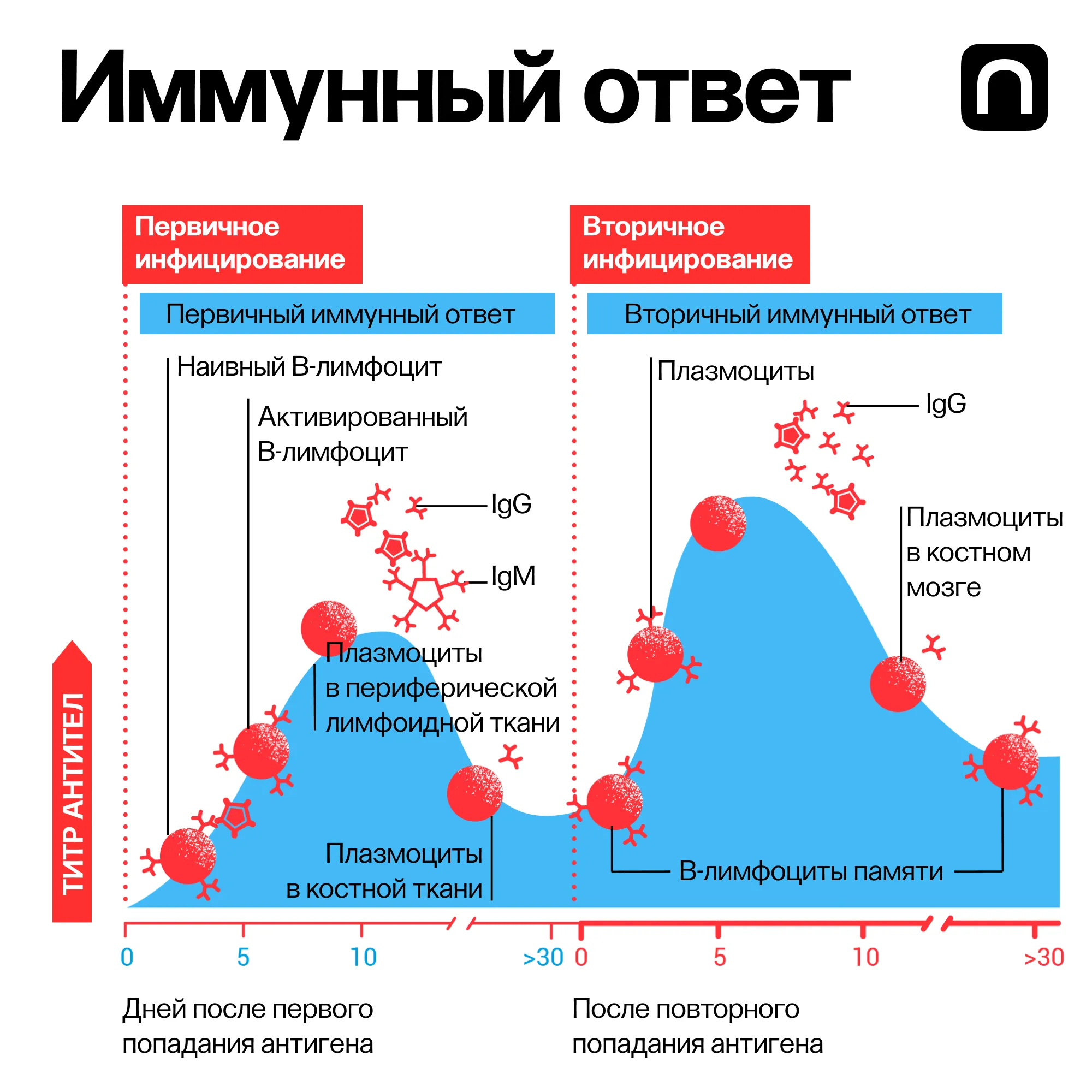 Юлия Кузьмина для ПостНауки