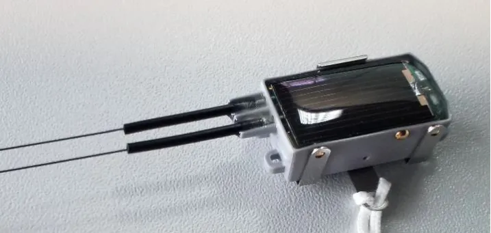 Фотография из личного архива Михаила Беляева