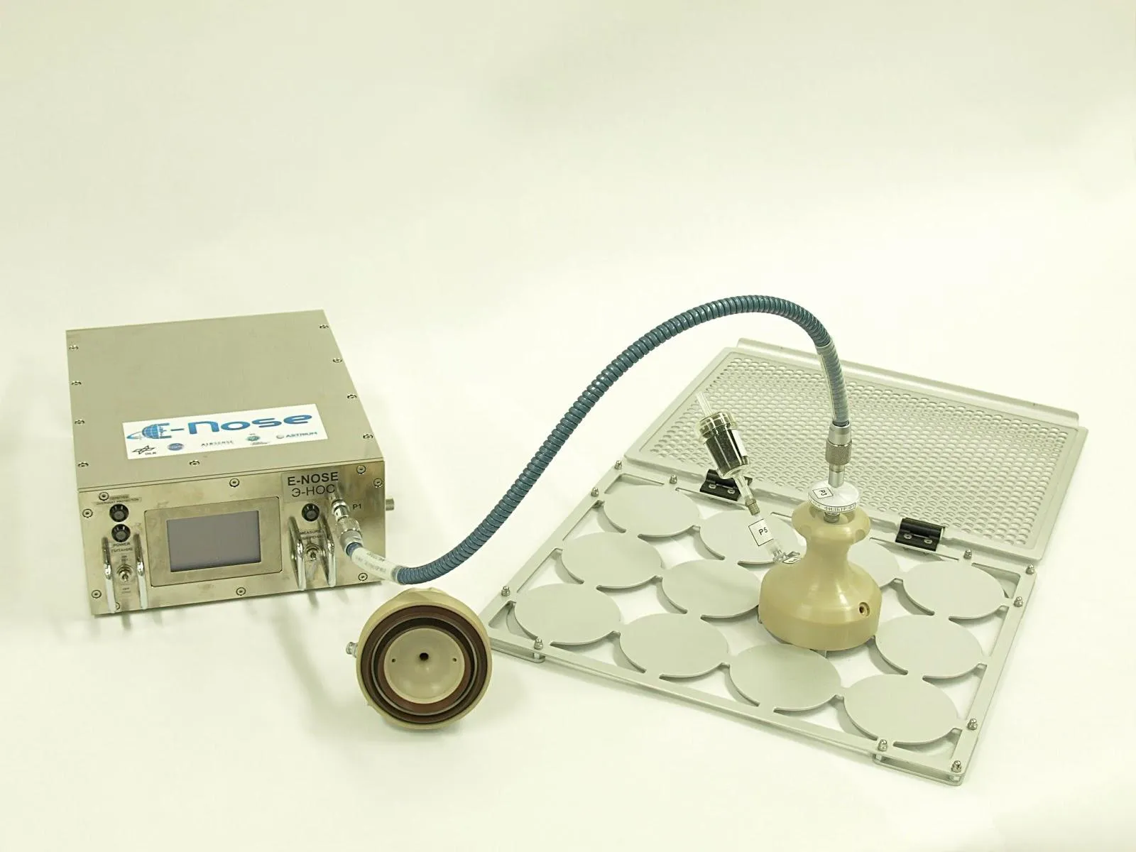 Фотография предоставлена ГНЦ РФ — ИМБП РАН