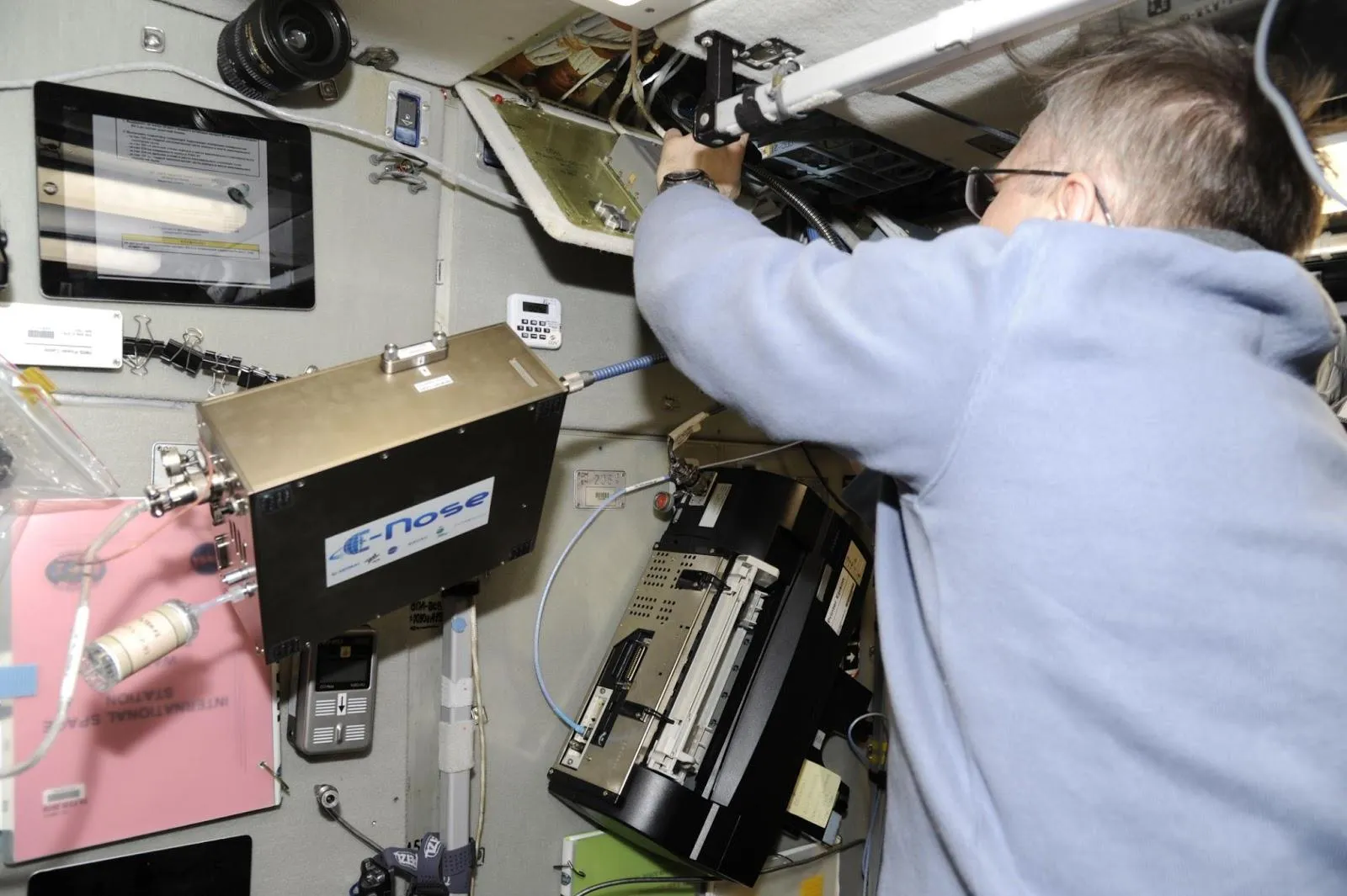 Фотография предоставлена ГНЦ РФ — ИМБП РАН