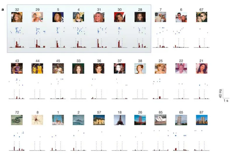Результаты эксперимента по обнаружению «нейрона Дженифер Энистон». Разные