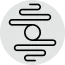 brain