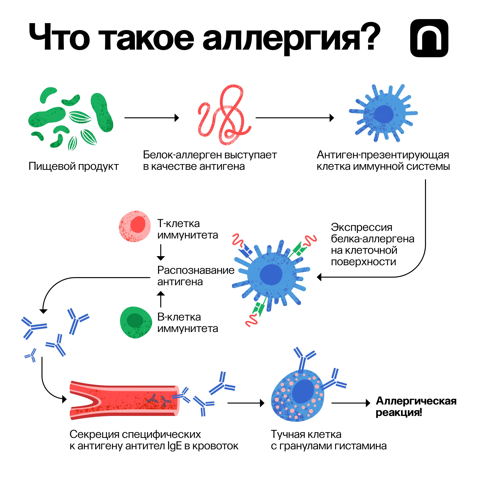 Лонгриды: Как еда нас убивает: что надо знать о пищевых аллергиях и непереносимостях