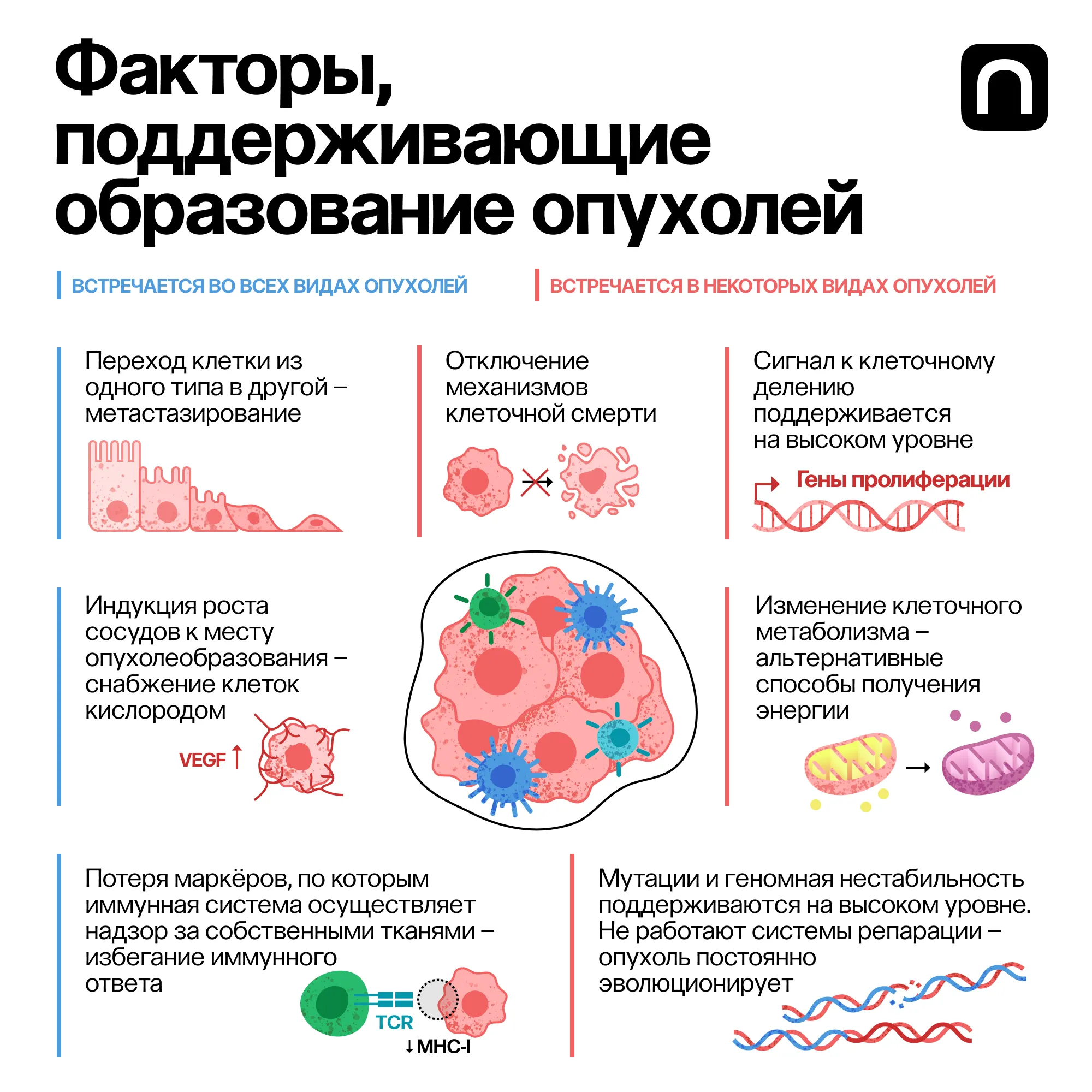 Лонгриды: Рак: чем опасны стресс, красное мясо и консерванты
