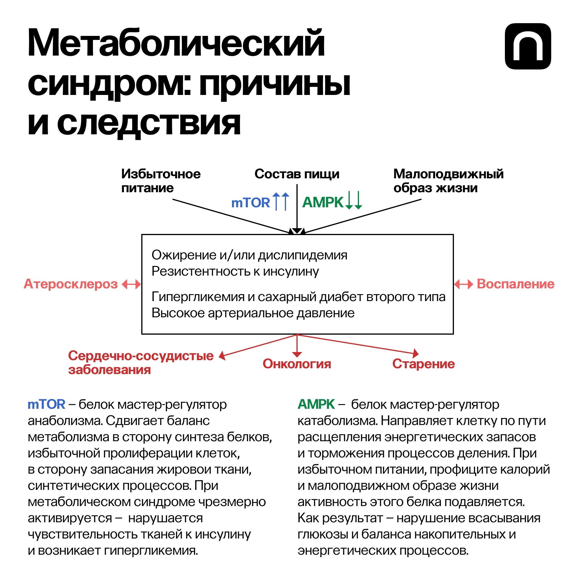 Лонгриды: Азбука еды: зачем нужны белки, жиры и углеводы