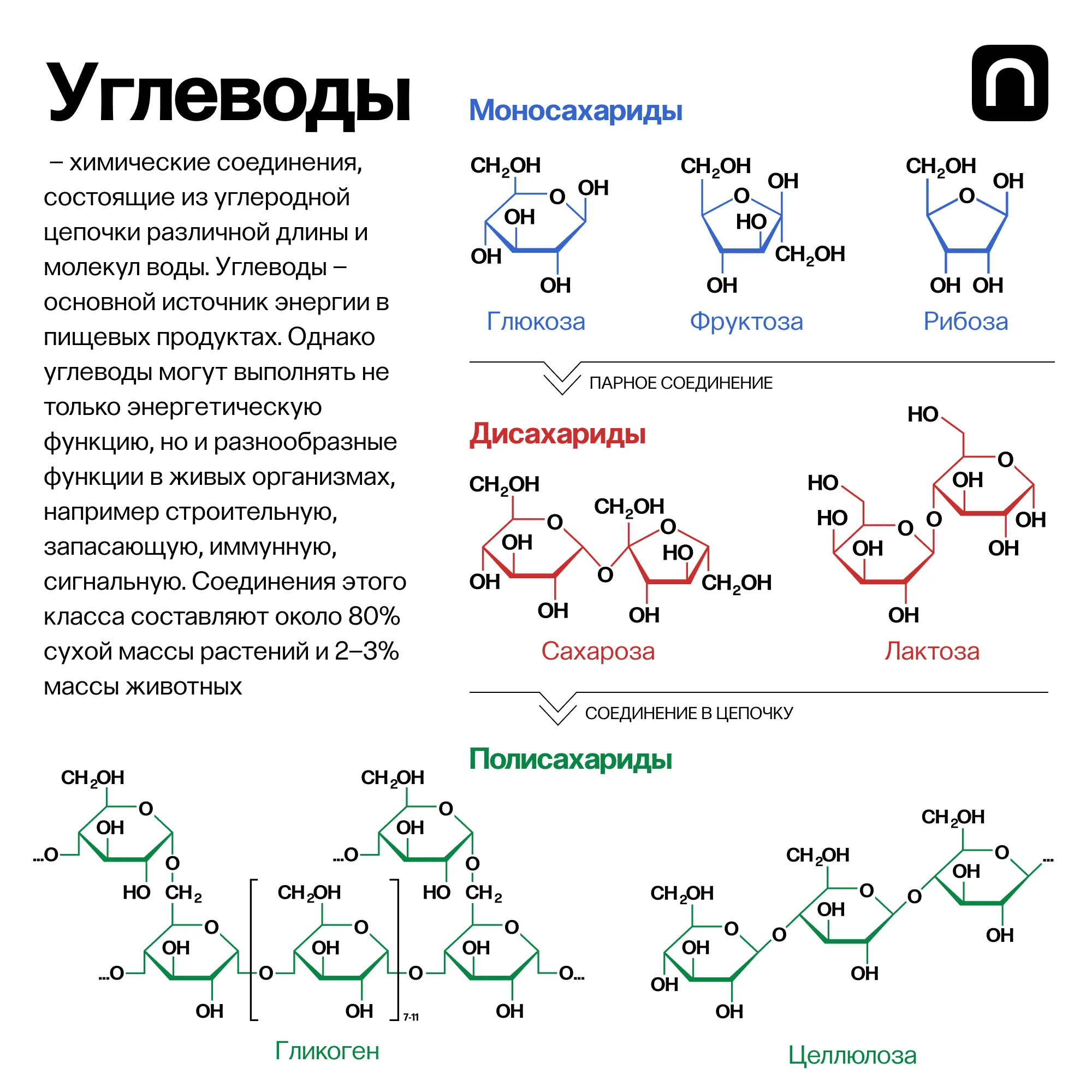Лонгриды: Азбука еды: зачем нужны белки, жиры и углеводы