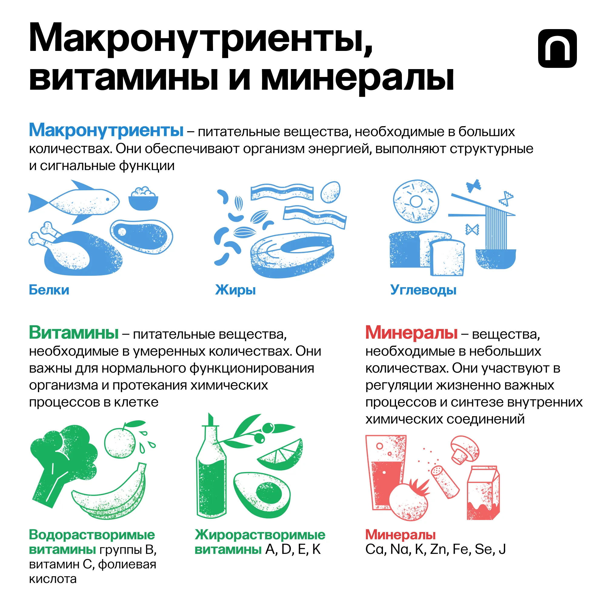 Лонгриды: Азбука еды: зачем нужны белки, жиры и углеводы