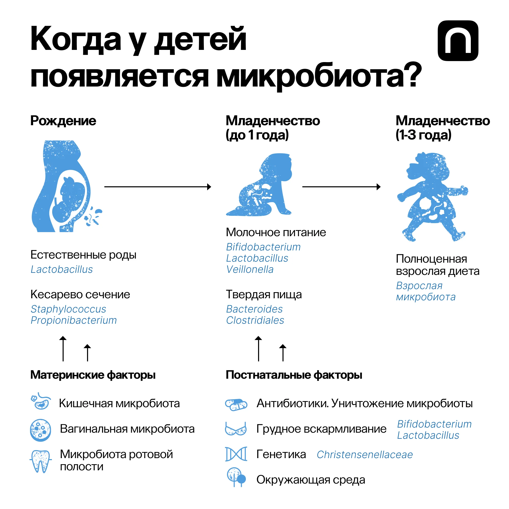 Лонгриды: Микробиота: руководство по эксплуатации нового органа человека