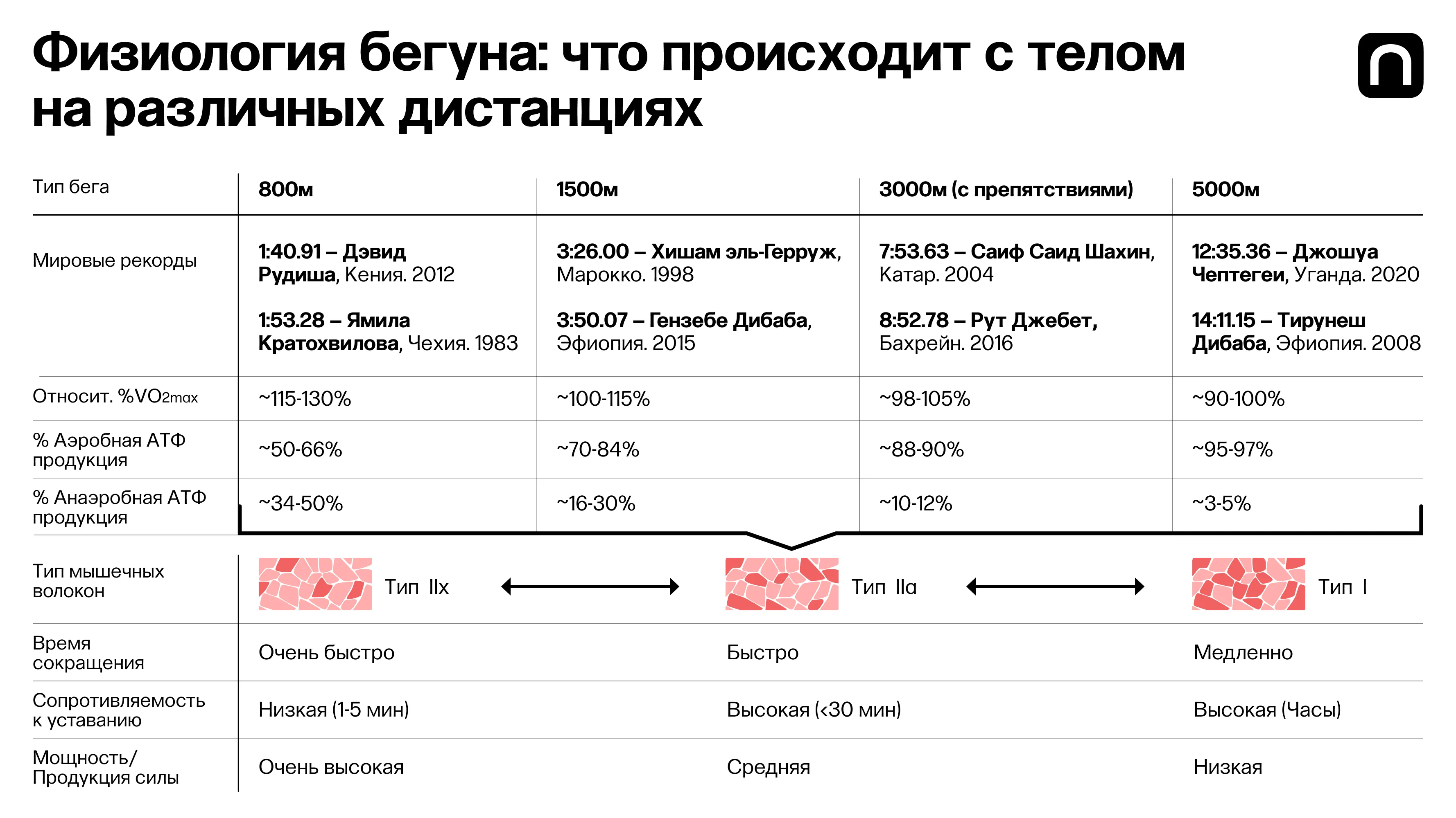 VO2max — максимальное количество кислорода, которое человек может потреблять