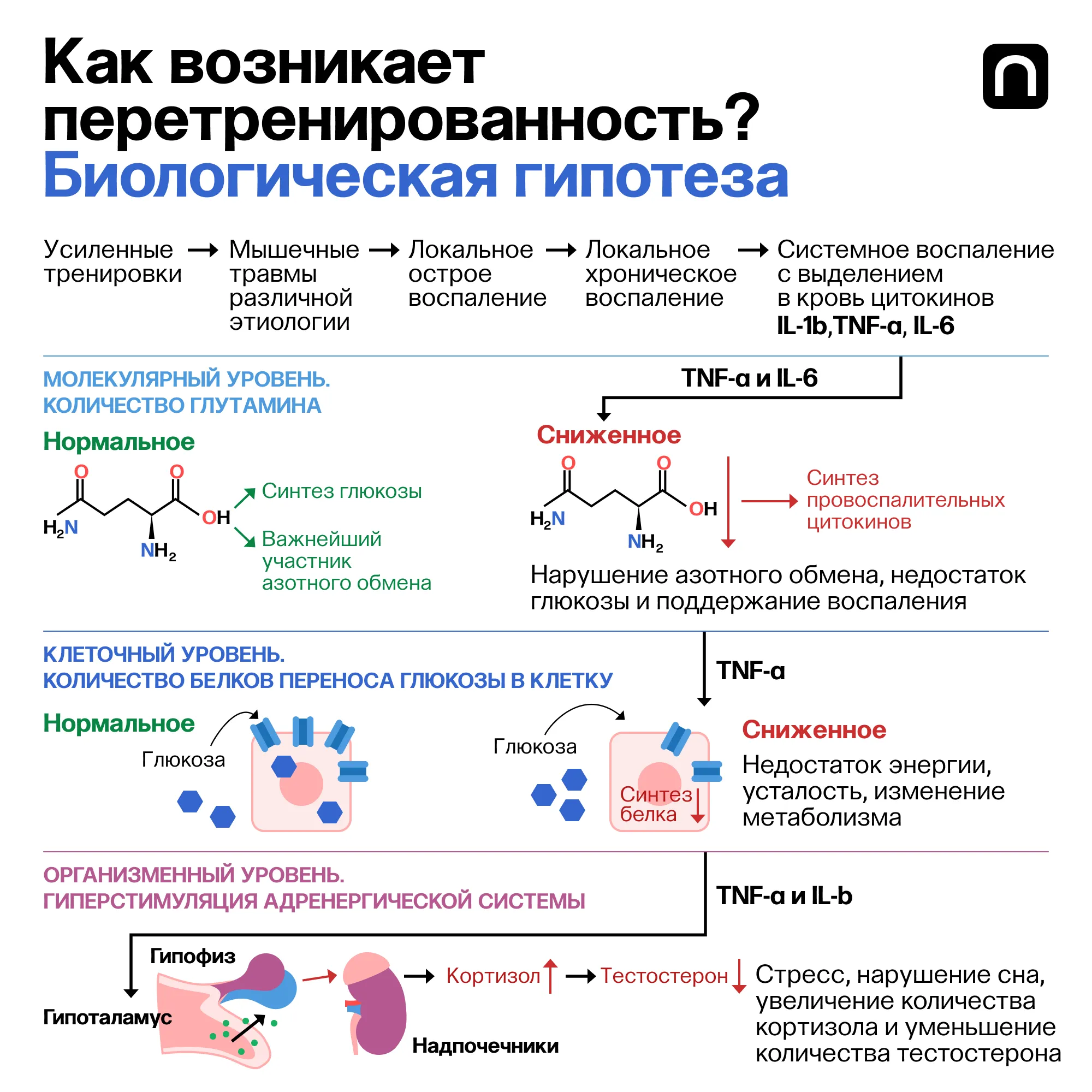 Лонгриды: Большой спорт: чем атлеты жертвуют ради результатов