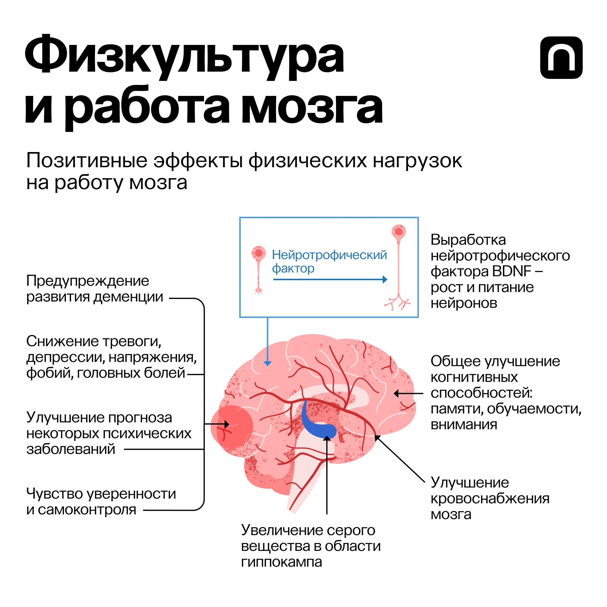 Лонгриды: В здоровом теле: как физическая нагрузка помогает в профилактике