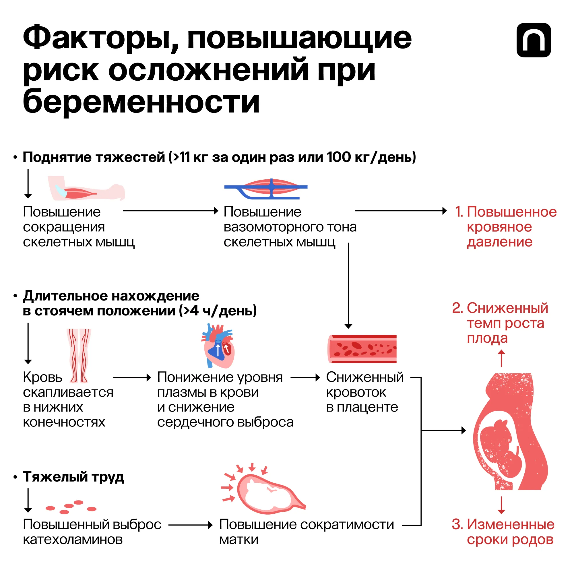 Лонгриды: Спорт без границ: как правильно рассчитать нагрузку и тренироваться
