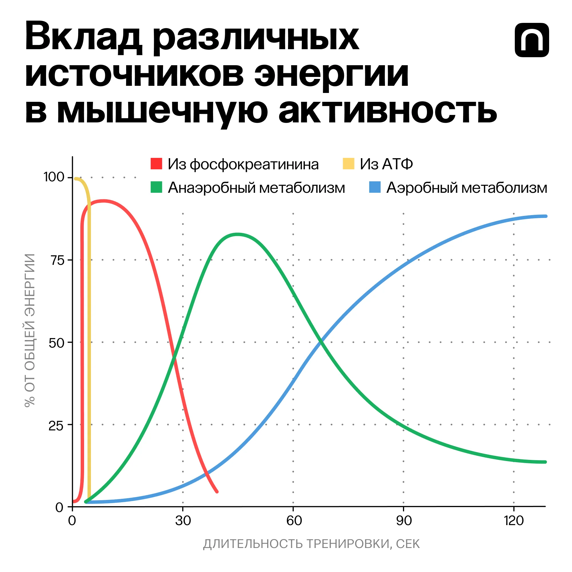 Лонгриды: Фитнес: спорт для любителей или философия здоровой жизни