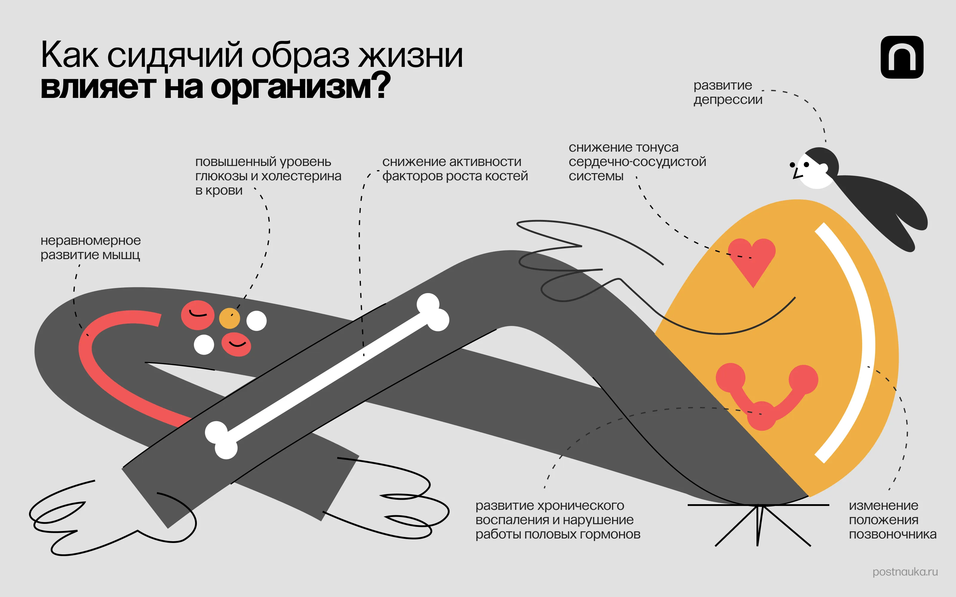 WTF: Почему много сидеть вредно для здоровья?