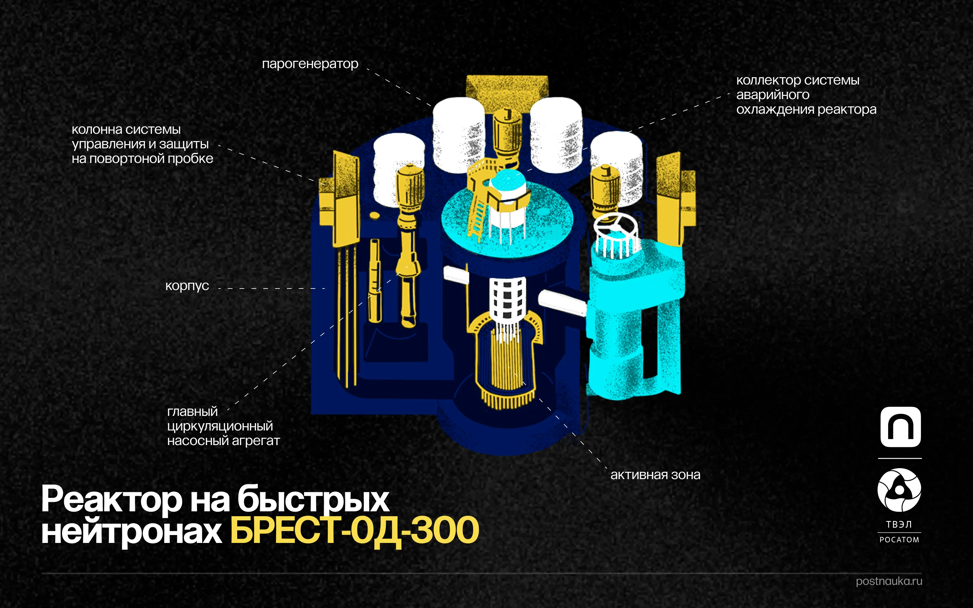 Лонгриды: Виды ядерного топлива