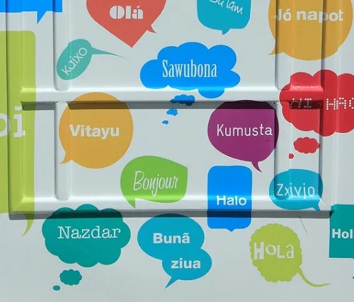 Язык как инструмент эволюции