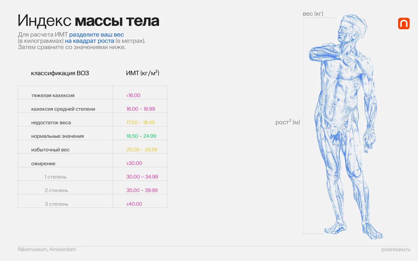 Индекс массы тела