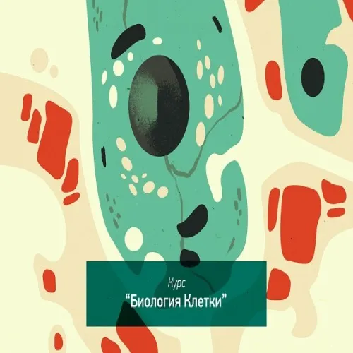 module header image