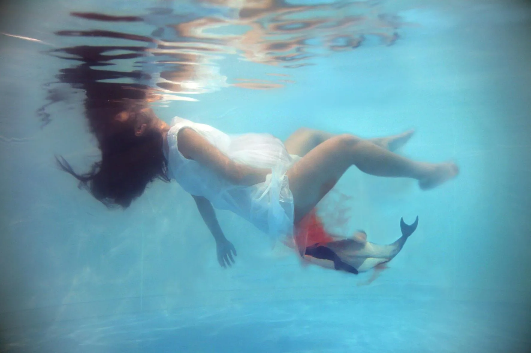 Ай Хасегава (Япония). «Я хочу родить дельфина». Комплексный проект суррогатного