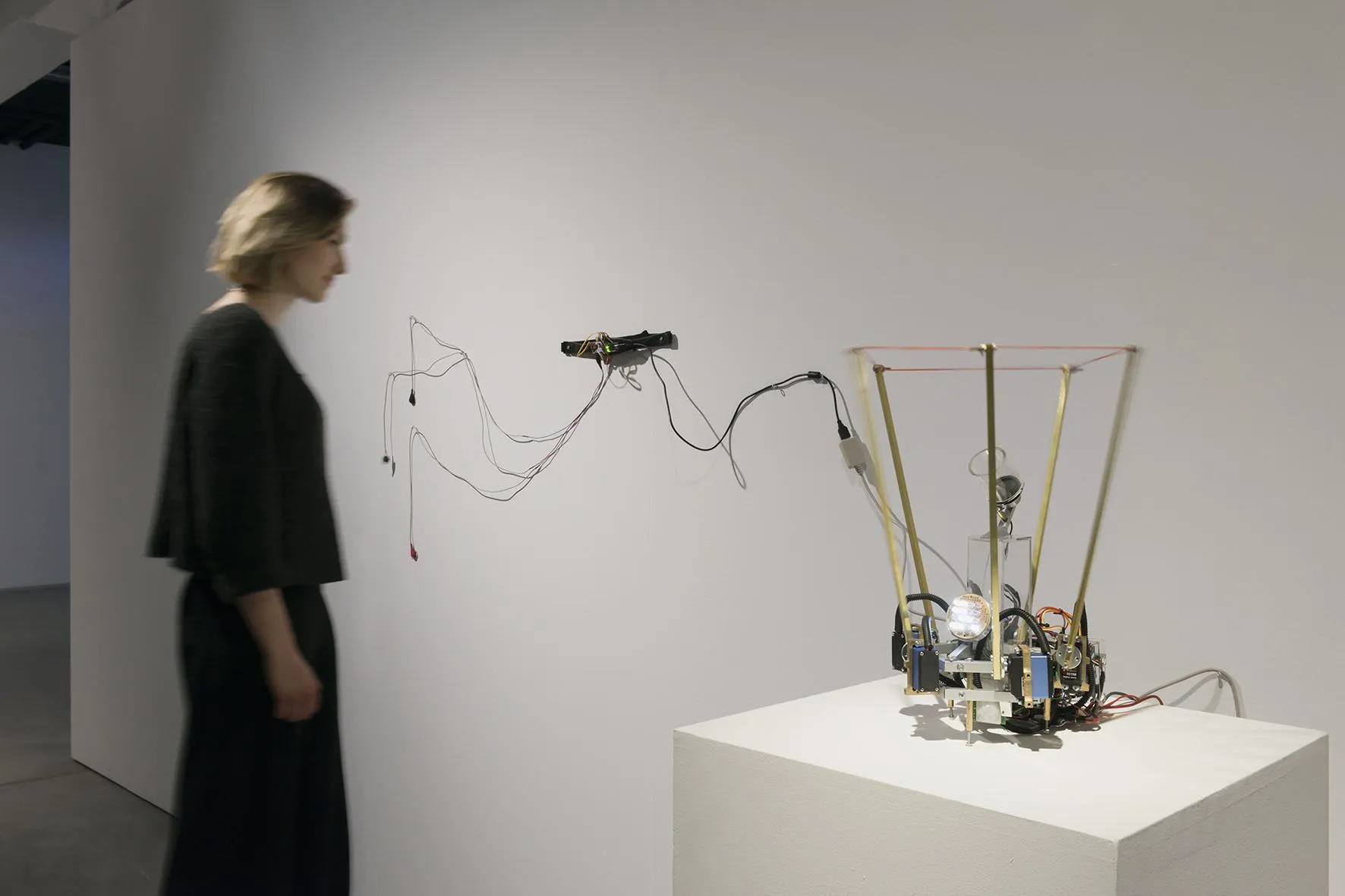 Дмитрий Морозов (Россия). «Black Box». Гибридный роботизированный объект,