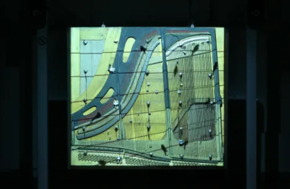 Фортепианные миграции/ Piano migrations (2009)