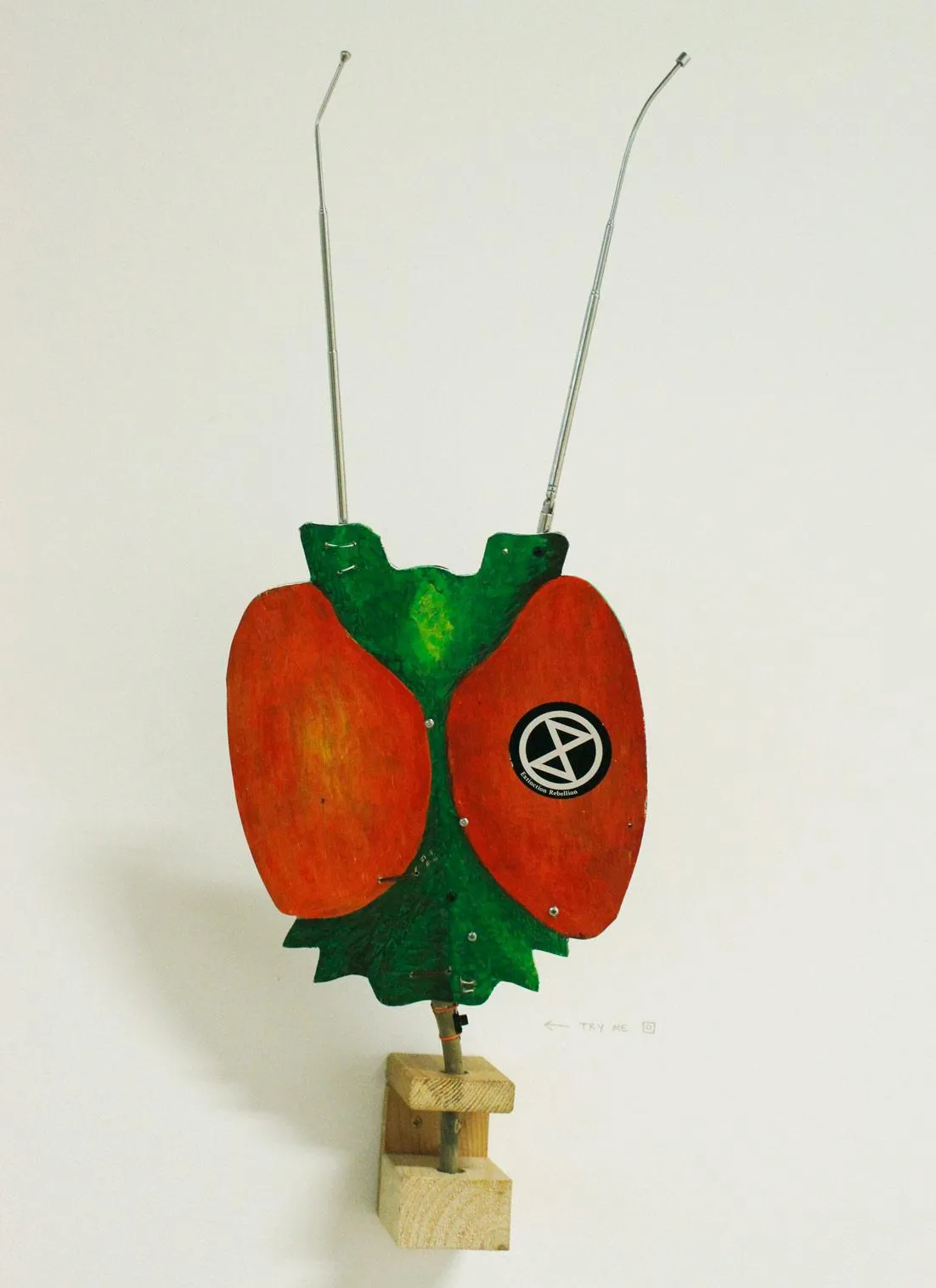 Жужжание жуков/ Insect buzz (2019)