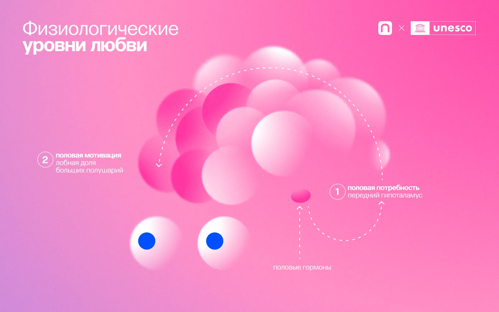 Точка зрения: Почему мы влюбляемся?