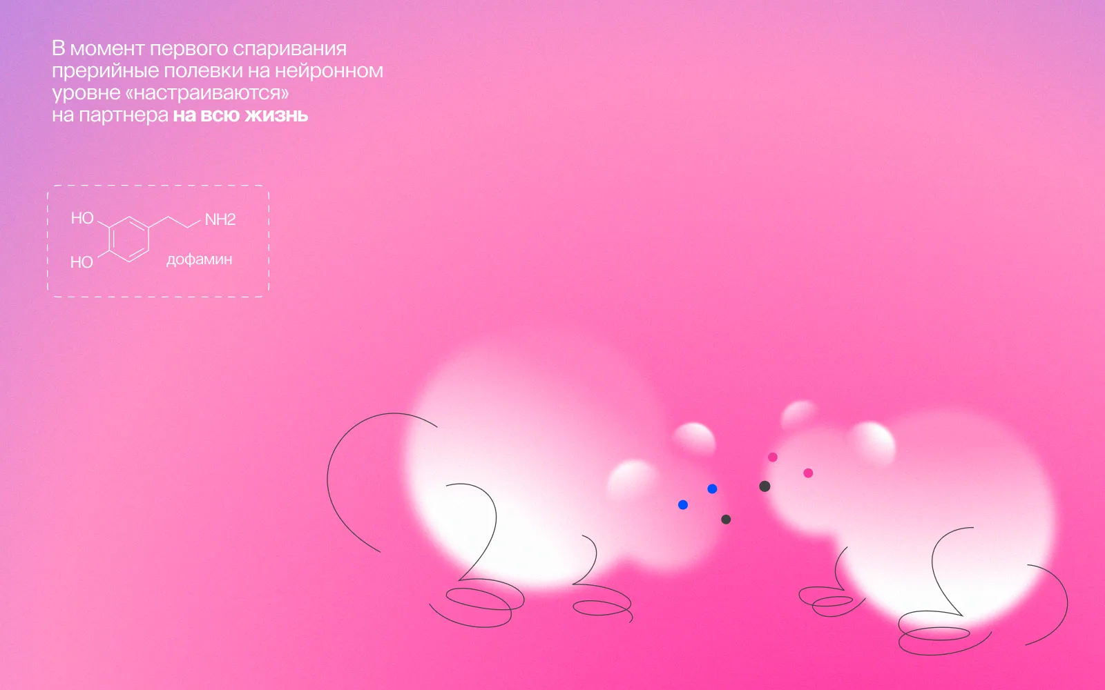 Точка зрения: Почему мы влюбляемся?