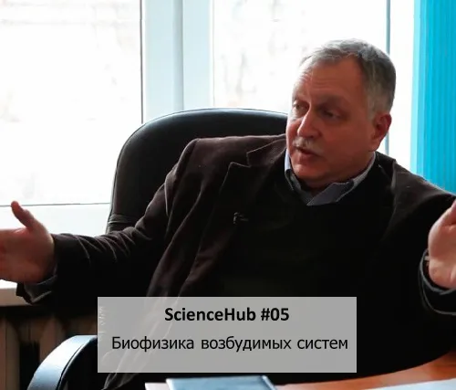 ScienceHub 05: Биофизика возбудимых систем