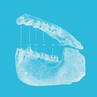 изображение для темы antropogenez-course