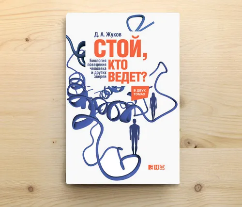 Автограф | «Стой, кто ведет?»