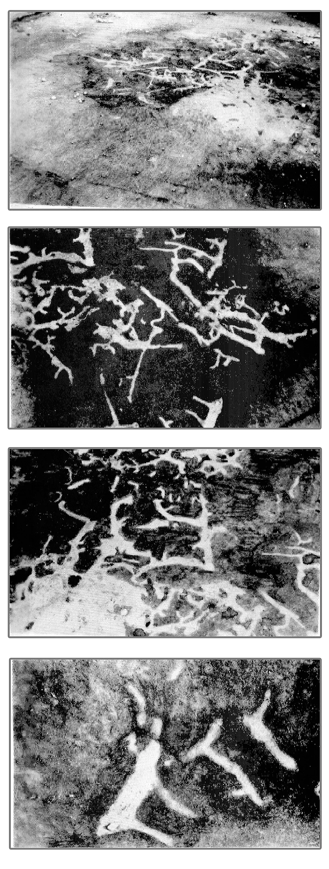 FAQ: FAQ: Святилища Кавказа